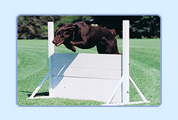 Boomer jumping